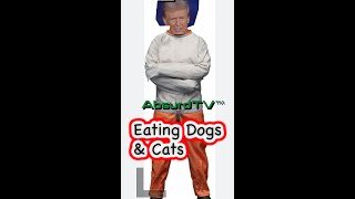 Trump says people are eating dogs and cats pets [upl. by Easlehc477]