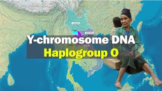 Subclade Distribution of Ychromosome DNA Haplogroup O [upl. by Conchita]