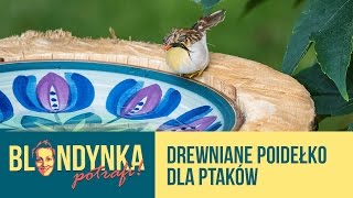 B020 Drewniane poidełko dla ptaków [upl. by Ahserb]