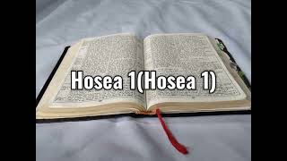 Tusi Paia Samoa  Feagaiga Tuai Hosea 1 Old Testament Hosea 1 [upl. by Iramohs447]