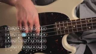 How to Play a Diminished 7th Chord  Bass Guitar [upl. by Ynahpit27]