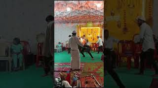 RATEBERIFAI  SHADI NIGHT viralvideo cat comeandplaythegame eidmiladunnabi [upl. by Wilton]