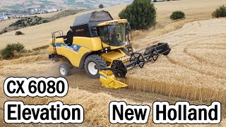 HARMAN 2022  CX 6080 Elevation New Holland Biçerdöver Buğday Biçiyor [upl. by Landbert334]