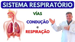 ANATOMIA E FISIOLOGIA RESPIRATÓRIA [upl. by Gaskill296]