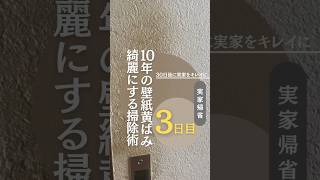 壁紙掃除リセット シンプルライフ ズボラ 丁寧な暮らし 賃貸マンション 暮らしを整える 壁紙 掃除 実家の片付け [upl. by Chap679]