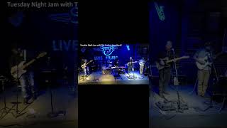 Jam with The Lindsey Lane Band stevieraysbluesbarlouisvil1086 [upl. by Ahsyat]