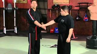 Scott Rogers Authentic Pressure Point  Volume 1 Fundamentals of Pressure Points Arms and Set Ups [upl. by Klayman752]