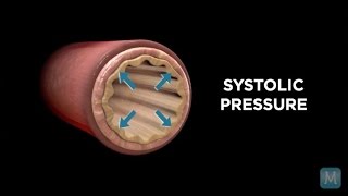 Systole vs Diastole  Match Health [upl. by Ezarra]