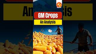 GM Crops An Analysis [upl. by Dry]