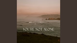 Youre Not Alone James Carter Remix [upl. by Cressler]