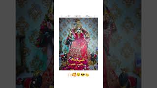 JAI MALDI MAA 🚩👑🤩 dj meldisarkardj song gujratidjremix newsong gujratidjremixsong music [upl. by Aserahs]