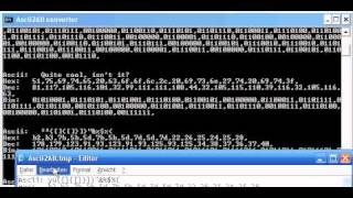 Batch converter  Ascii to binary decimal and hexadecimal [upl. by Eelegna]