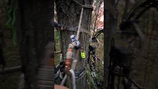 Mn deer season is here whitetail urbandeer bowhunting saddlehunting [upl. by Ajroj]