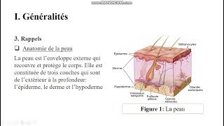 Infection à staphylocoque et streptocoque de la peau et des tissus mous 1 [upl. by Krik611]