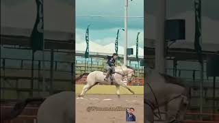 horse rodeo cavalo vaquejada horselover horser animalsounds music خيل horsemusic [upl. by Adohr227]