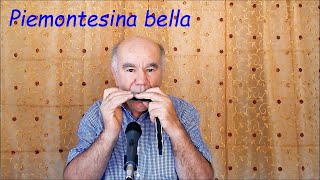 Piemontesina bella 1V Valzer Harmonica [upl. by Doxia655]