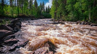 Allein Wandern in NordSchweden 2024 Teil 3 [upl. by Assirrac]