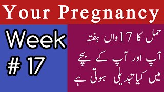 17th Week Of Pregnancy  17 Week Pregnant  Hamal Ka 17 Hafta [upl. by Mcgurn]