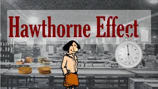 The Hawthorne Effect  Or Why Everything Works [upl. by Occer]