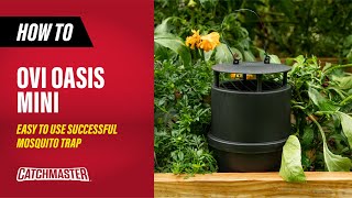 Easy to Use Successful Mosquito Trap  Catchmaster Oasis OviMini Mosquitor Trap [upl. by Whitehurst]