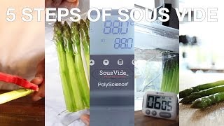 ChefSteps • 5 Steps of Sous Vide Cooking [upl. by Eilrebmik792]