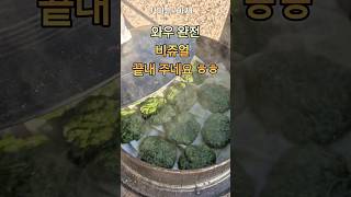 쑥개떡 만들기 가마솥 요리 [upl. by Murrah]