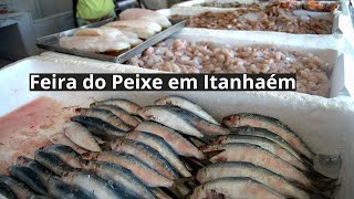 Feira do Peixe em Itanhaém [upl. by Eenerb]