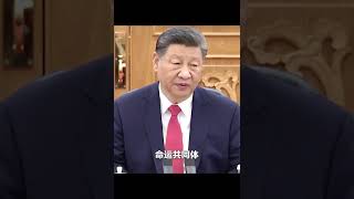 习近平会见主要国际经济组织负责人 [upl. by Valdis]