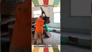 Oil Removing From Sunflower  kannada facts karnataka amazing youtubeshorts trendingshorts [upl. by Enasus194]