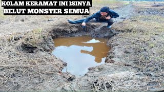 Nemu Kolam Keramat Ditengah Sawah Yang Jadi Markas Belut Belut Purba Kalimantan [upl. by Nicolea]