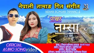 new tamang selo song by nishan bomjan tamang pakhar namsa 2025 [upl. by Ahsenor847]