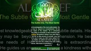 Allateef powerful wazifa booktok shortsfeed [upl. by Eppillihp]