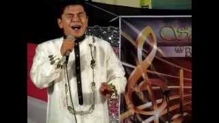 Rico Puno  Lupa cover by Richard Pangilinan [upl. by Ecnaralc]