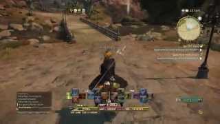 FFXIVEerie Barding Chocobo Showcase [upl. by Cirded]