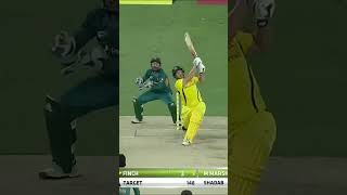 Lets Rewind  Pakistan All Fall of Wickets PAKvAUS SportsCentral Shorts PCB M7C2K [upl. by Nette]