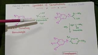 Synthesis of Trimethoprim ll Medicinal Chemistry ll sem 6 [upl. by Jacquelynn804]