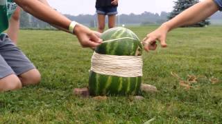 Watermelon400 rubber bands [upl. by Noslen]