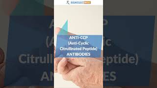 AntiCCP Antibodies Their Crucial Role in Rheumatoid Arthritis [upl. by Mihar]