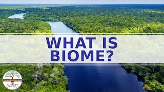 WHAT IS A BIOME  Enviromental Science  CATEGORIES OF BIOMES [upl. by Doralynn]