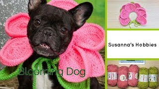 海外かぎ針編み日本語Blooming DogPet Costume Easy Crochet春はワンちゃんとお花見♡犬服100均ダイソー毛糸で簡単DIY可愛いフラワーコスチューム スザンナのホビー [upl. by Asel249]