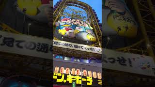 Dotonbori Osaka’s WILDEST Attraction [upl. by Oremar]