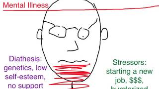 PTSD Diathesis Stress Model [upl. by Dnallor934]