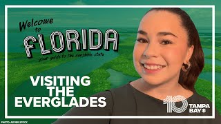 Planning a trip to the Everglades Here’s what you need to know [upl. by Nilknarf]