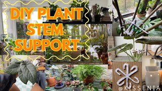 DIY Plant Stem Support [upl. by Tomasz]