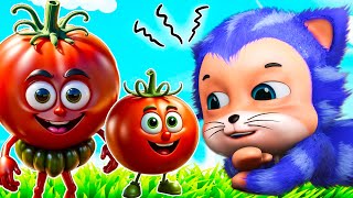 আহা ট্যামাটার  Aaha Tamatar bada mazedaar  Aye Bristi Jhepe  Jugnu Kids Bangla Nursery Rhymes [upl. by Lonna]