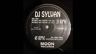 DJ Sylvan  Work My Mind BS Mix [upl. by Flavius]