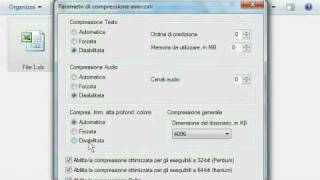 COME CREARE UN ARCHIVIO DATI PROTETTO DA PASSWORD [upl. by Leugim]