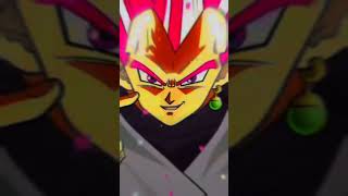 Goku black xeno vs vegeta black xeno [upl. by Gustavus201]