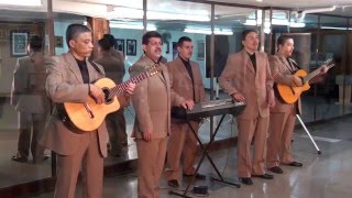 EL NUEVO REVELACIÓN  ENFERMO DE AMOR  Música Popular Colombia [upl. by Mervin]