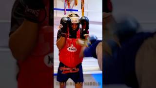 MUAY THAI Gym in Denmark [upl. by Reteid]